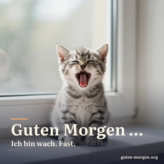 Graues Kätzchen gähnt mit weit aufgerissenem Maul auf einer sonnigen Fensterbank; Schrift: "Guten Morgen … Ich bin wach. Fast."