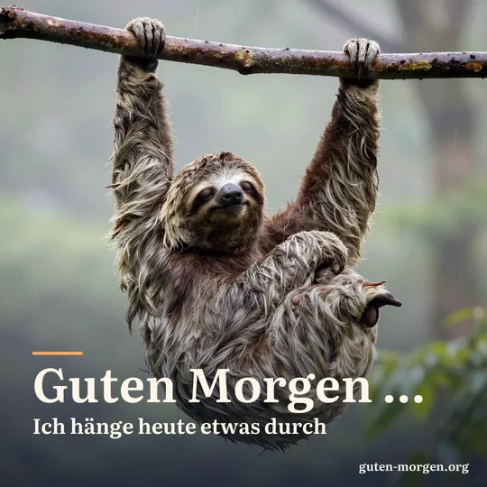 Faultier hängt mit halb geschlossenen Augen entspannt an einem Ast im nebligen Regenwald; Schrift: "Guten Morgen … Ich hänge heute etwas durch"