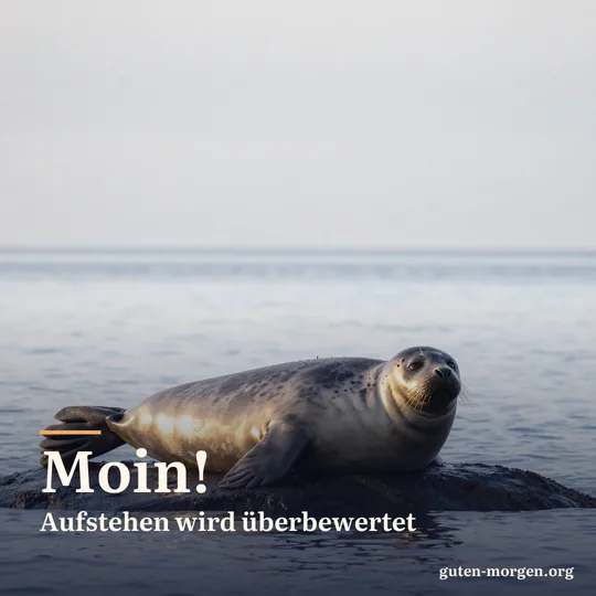 Seehund liegt auf dem Rücken auf einem flachen Felsen, die Flossen auf dem Bauch, dahinter glitzert das Meer; Schrift: "Moin! Aufstehen wird überbewertet"