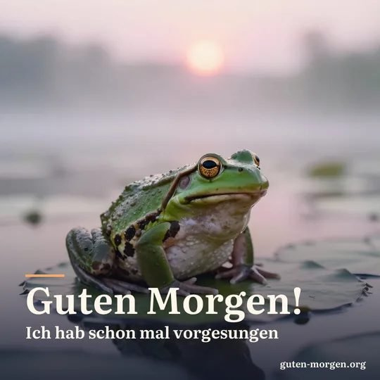 Grüner Frosch sitzt in der Morgendämmerung mit aufgeblähter Kehle quakend auf einem Seerosenblatt; Schrift: "Guten Morgen! Ich hab schon mal vorgesungen"