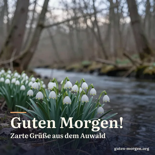 Weiße Märzenbecher mit grünen Spitzen im feuchten Auwald, weiches Morgenlicht fällt durch kahle Bäume; Schrift: „Guten Morgen! Zarte Grüße aus dem Auwald“