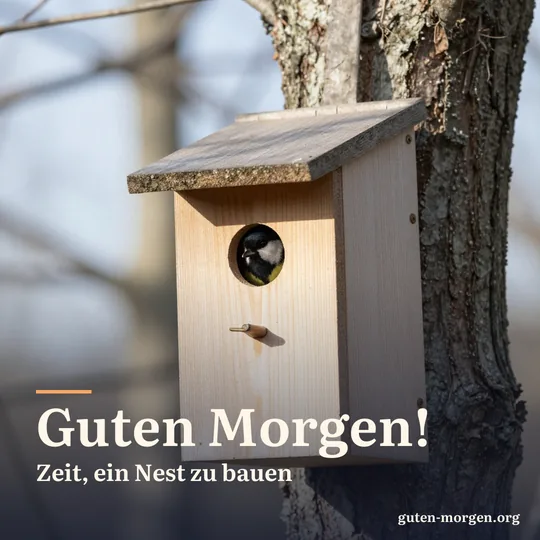 Ein hölzerner Nistkasten an einem Baumstamm im Frühlingslicht, eine Kohlmeise schaut aus dem Einflugloch; Schrift: „Guten Morgen! Zeit, ein Nest zu bauen“