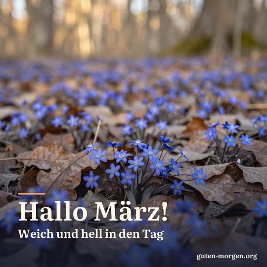 Blaue Leberblümchen zwischen braunem Vorjahreslaub am Waldboden in den ersten warmen Sonnenstrahlen; Schrift: „Hallo März! Weich und hell in den Tag“