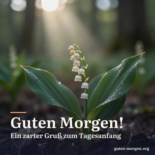 Maiglöckchen mit feinen Tautropfen auf schattigem Waldboden, ein Lichtstrahl fällt darauf; Schrift: „Guten Morgen! Ein zarter Gruß zum Tagesanfang“
