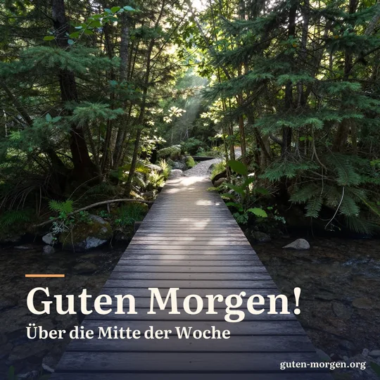 Holzsteg über einen klaren Gebirgsbach im Wald, Sonnenstrahlen fallen zwischen den Bäumen hindurch; Schrift: „Guten Morgen! Über die Mitte der Woche“