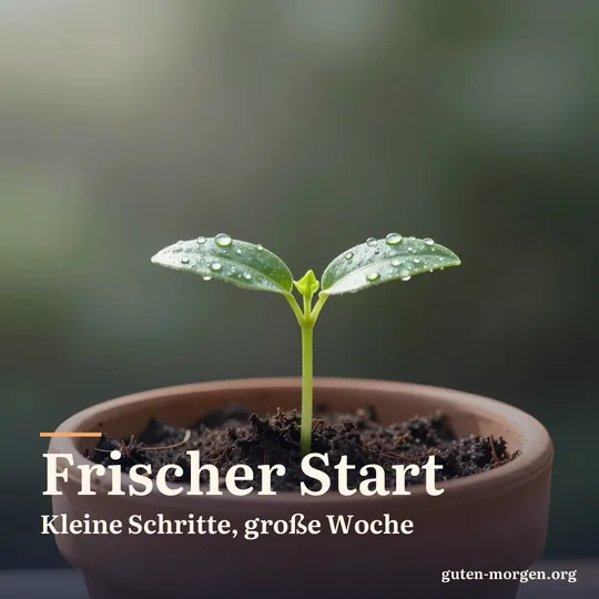 Winziger grüner Keimling in einem Terrakottatopf, Wassertropfen auf den Blättchen, sanftes seitliches Morgenlicht; Schrift: „Frischer Start. Kleine Schritte, große Woche“
