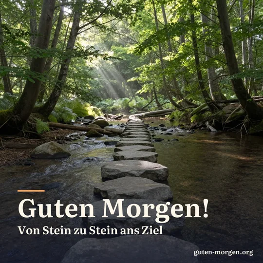 Trittsteine führen durch einen klaren, flachen Bach im Buchenwald, Sonnenstrahlen fallen durch die Bäume; Schrift: „Guten Morgen! Von Stein zu Stein ans Ziel“