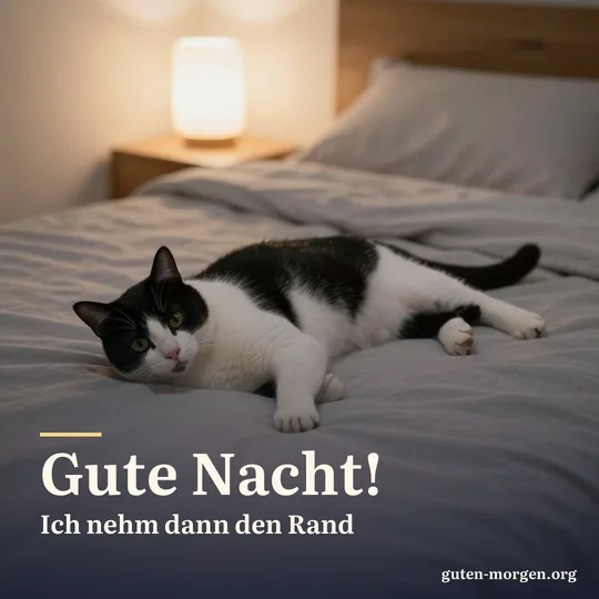 Schwarz-weiße Katze liegt quer mitten im Doppelbett und beansprucht den ganzen Platz; Schrift: „Gute Nacht! Ich nehm dann den Rand“