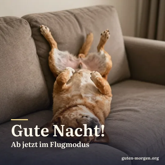 Hund schläft auf dem Rücken auf dem Sofa, alle vier Pfoten in der Luft; Schrift: „Gute Nacht! Ab jetzt im Flugmodus“