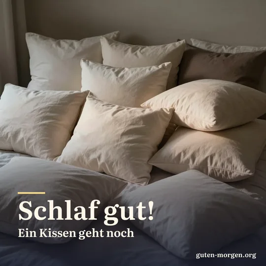 Ein Bett, auf dem sich viel zu viele flauschige Kissen türmen; Schrift: „Schlaf gut! Ein Kissen geht noch“