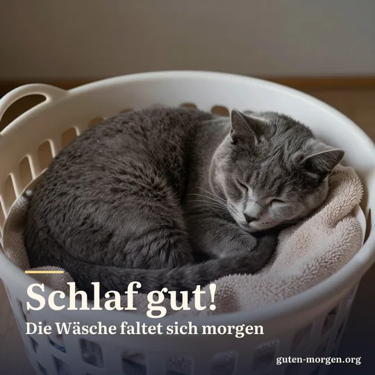 Graue Katze schläft eingerollt in einem Wäschekorb voller warmer Handtücher; Schrift: „Schlaf gut! Die Wäsche faltet sich morgen“
