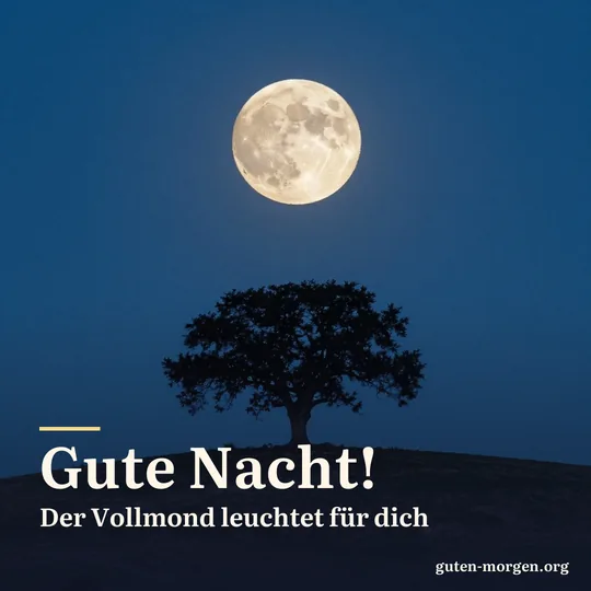 Realistischer Vollmond geht hinter einem sanften Hügel mit einer einzelnen Eiche auf, tiefblauer Nachthimmel; Schrift: „Gute Nacht! Der Vollmond leuchtet für dich“