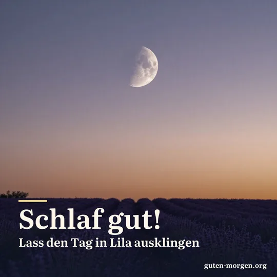 Schmale Mondsichel über einem Lavendelfeld in der späten Dämmerung, am Horizont ein letzter orangefarbener Schimmer; Schrift: „Schlaf gut! Lass den Tag in Lila ausklingen“