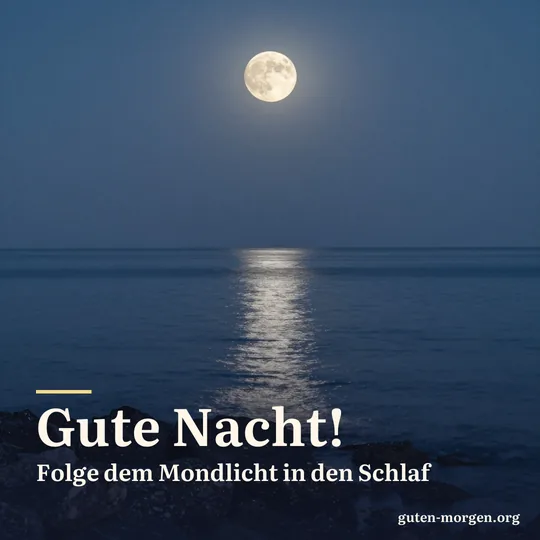 Vollmond über dem ruhigen Meer, eine silberne Lichtbahn auf dem Wasser, vorne eine dunkle Felsküste; Schrift: „Gute Nacht! Folge dem Mondlicht in den Schlaf“