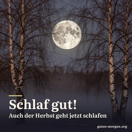 Großer Mond hinter kahlen Birkenzweigen in einer Herbstnacht, Nebel liegt am Boden; Schrift: „Schlaf gut! Auch der Herbst geht jetzt schlafen“