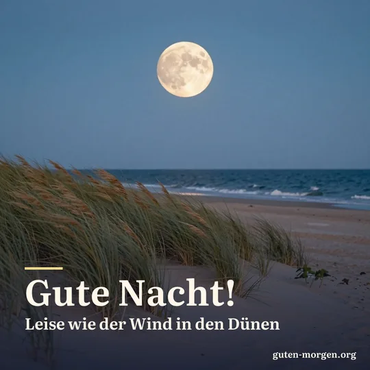Vollmond über Sanddünen mit wehendem Strandhafer bei Nacht; Schrift: „Gute Nacht! Leise wie der Wind in den Dünen“
