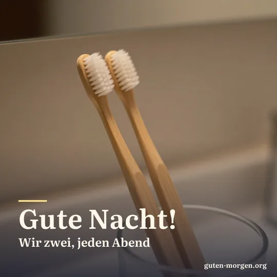 Zwei Zahnbürsten lehnen aneinander in einem Glas auf dem Badezimmerregal; Schrift: „Gute Nacht! Wir zwei, jeden Abend“