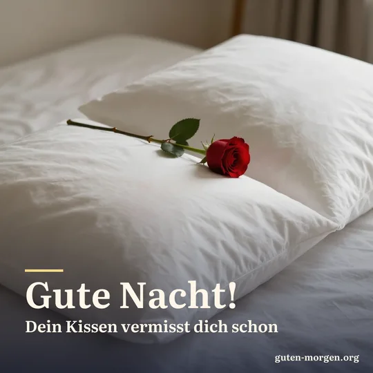 Zwei Kopfkissen nebeneinander im Mondlicht, auf einem liegt eine einzelne rote Rose; Schrift: „Gute Nacht! Dein Kissen vermisst dich schon“