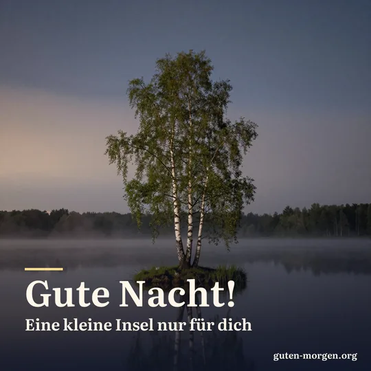 Winzige Insel mit einer einzelnen Birke in einem nebligen See bei Nacht; Schrift: „Gute Nacht! Eine kleine Insel nur für dich“