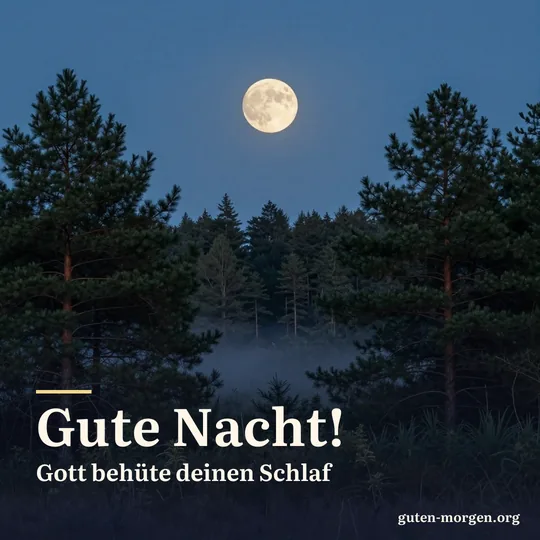 Vollmond steigt am späten Abend über einem dunklen Kiefernwald und einem nebligen Tal auf, der Himmel tiefblau; Schrift: „Gute Nacht! Gott behüte deinen Schlaf“