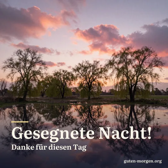 Rosa und orange Abendwolken spiegeln sich in einer überfluteten Wiese mit Kopfweiden an einem stillen Abend; Schrift: „Gesegnete Nacht! Danke für diesen Tag“