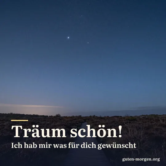 Eine Sternschnuppe zieht über eine Moorlandschaft mit schmalem Holzsteg, am Horizont ein schwacher Lichtschein; Schrift: „Träum schön! Ich hab mir was für dich gewünscht“