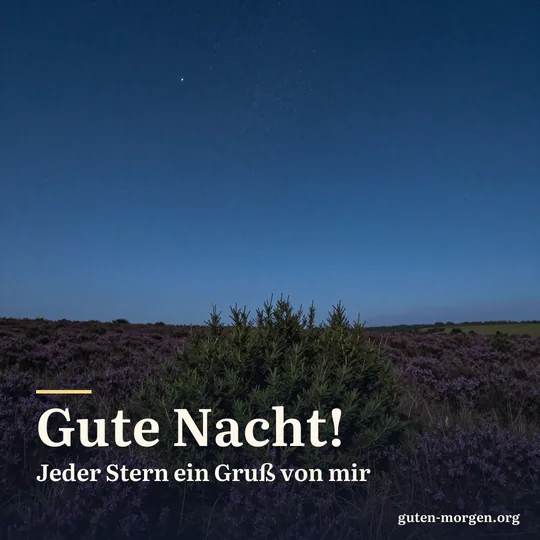 Sternenhimmel über einer Heidelandschaft mit Wacholderbüschen in tiefem Blau; Schrift: „Gute Nacht! Jeder Stern ein Gruß von mir“