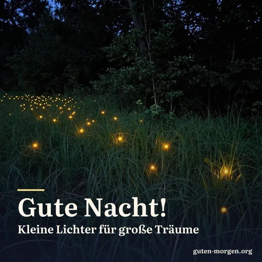 Glühwürmchen leuchten nachts über einer Sommerwiese am Waldrand; Schrift: „Gute Nacht! Kleine Lichter für große Träume“