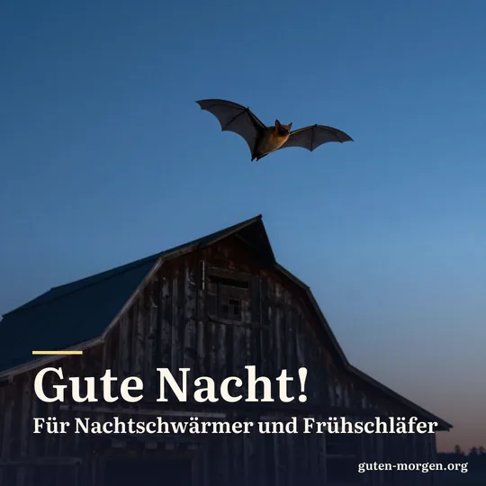 Fledermaus fliegt vor dem tiefblauen Abendhimmel über einer alten Holzscheune; Schrift: „Gute Nacht! Für Nachtschwärmer und Frühschläfer“
