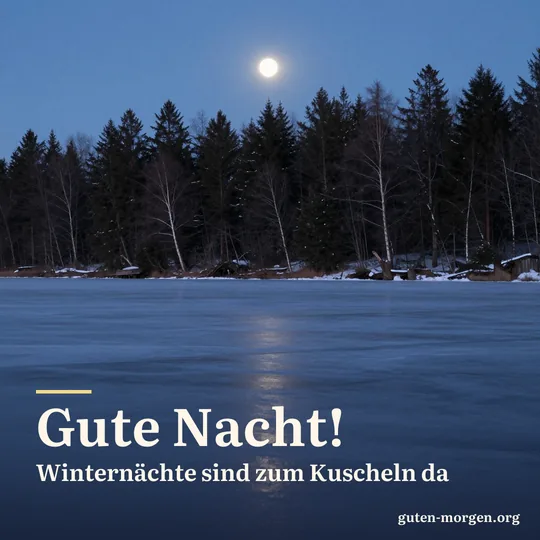 Zugefrorener, verschneiter See bei Nacht, der Mond steht tief über dunklen Fichten; Schrift: „Gute Nacht! Winternächte sind zum Kuscheln da“