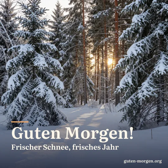 Verschneiter Fichtenwald bei Sonnenaufgang, goldenes Licht fällt auf unberührten Schnee; Schrift: „Guten Morgen! Frischer Schnee, frisches Jahr“