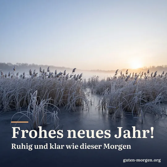 Zugefrorener See mit raureifbedecktem Schilf, die Sonne steht knapp über dem Horizont; Schrift: „Frohes neues Jahr! Ruhig und klar wie dieser Morgen“