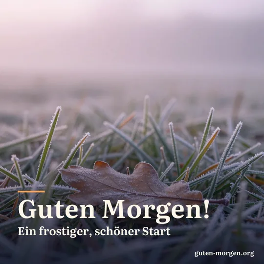 Eiskristalle auf Grashalmen und einem gefallenen Eichenblatt bei Sonnenaufgang in Nahaufnahme, blassrosa Licht; Schrift: „Guten Morgen! Ein frostiger, schöner Start“