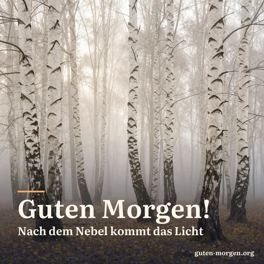 Weiße Birkenstämme in einem nebligen Wald, erste blasse Sonnenstrahlen brechen durch, gelbes Laub am Boden; Schrift: „Guten Morgen! Nach dem Nebel kommt das Licht“