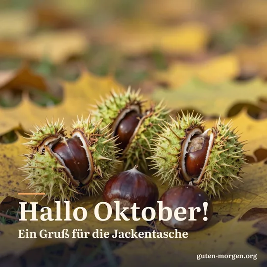 Glänzende Kastanien in aufgeplatzten stacheligen Schalen auf gelbem Laub im flachen Morgenlicht; Schrift: „Hallo Oktober! Ein Gruß für die Jackentasche“