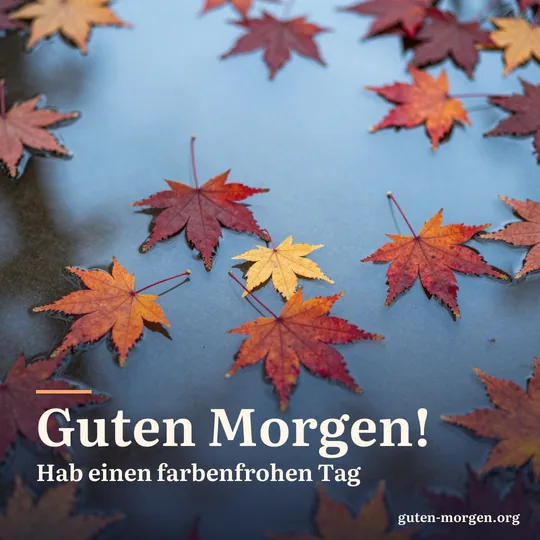 Rote und orange Ahornblätter treiben auf einer Pfütze, in der sich der blaue Morgenhimmel spiegelt; Schrift: „Guten Morgen! Hab einen farbenfrohen Tag“
