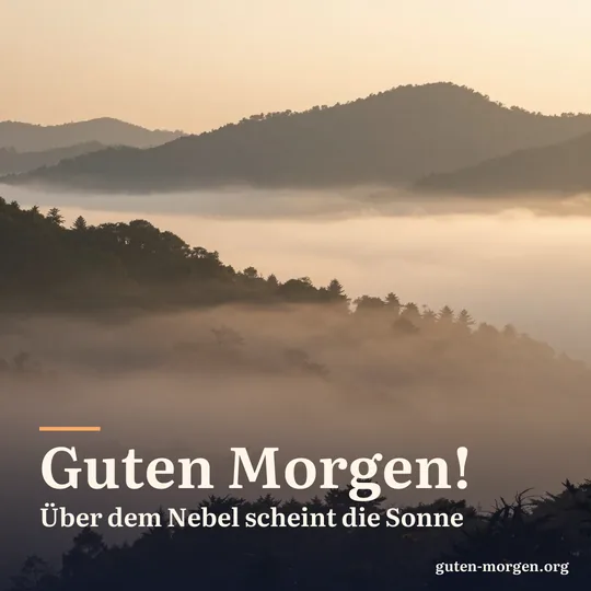 Blick von einer Anhöhe auf ein Nebelmeer in den Tälern bei Sonnenaufgang, bewaldete Hügel ragen heraus; Schrift: „Guten Morgen! Über dem Nebel scheint die Sonne“