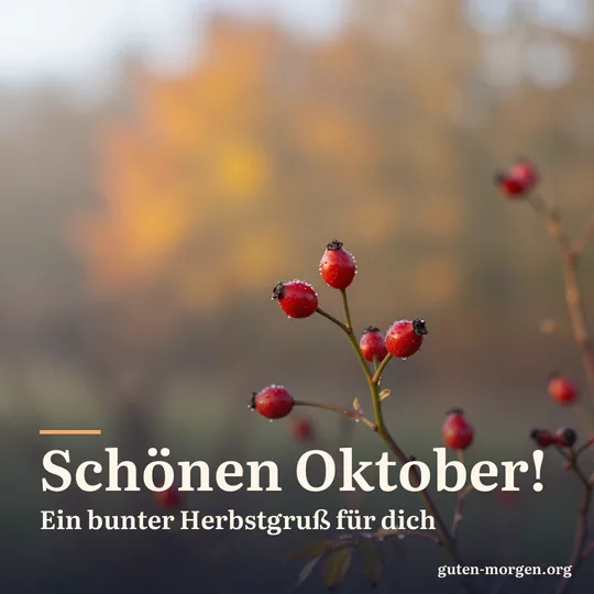 Leuchtend rote Hagebutten mit Tautropfen an einer dornigen Wildrosenhecke in der Morgensonne; Schrift: „Schönen Oktober! Ein bunter Herbstgruß für dich“