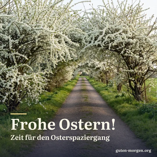 Feldweg zwischen weiß blühenden Schlehenhecken in der Morgensonne; Schrift: „Frohe Ostern! Zeit für den Osterspaziergang“
