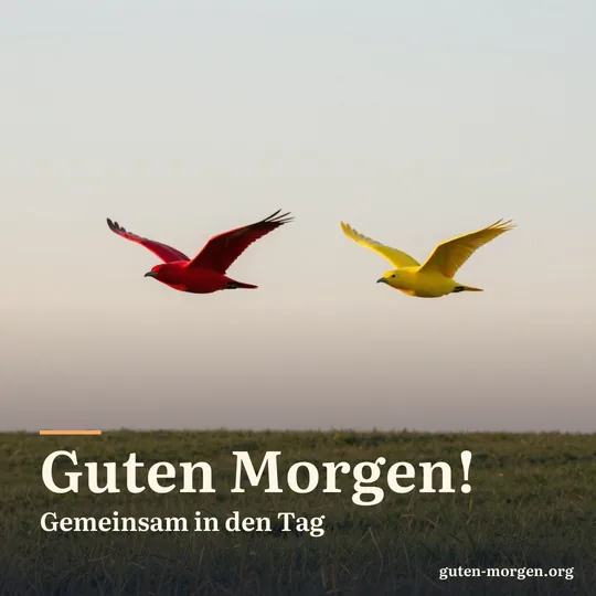 Zwei schlichte Drachen, ein roter und ein gelber, fliegen nebeneinander am hellen Morgenhimmel über einer grünen Wiese; Schrift: „Guten Morgen! Gemeinsam in den Tag“