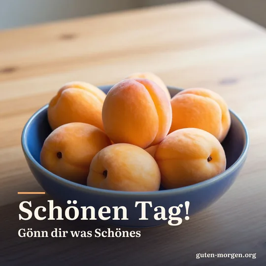 Reife Aprikosen in einer blauen Keramikschale auf einem sonnigen Holztisch am Vormittag; Schrift: „Schönen Tag! Gönn dir was Schönes“