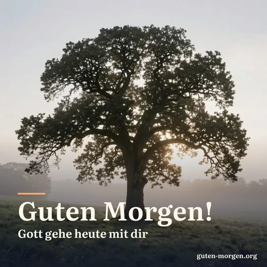 Alte Eiche auf einem sanften Hügel über einem nebligen Tal, die ersten Morgenstrahlen brechen durch ihre Äste; Schrift: „Guten Morgen! Gott gehe heute mit dir“