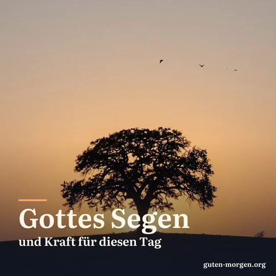 Einzelne Eiche auf einem Hügel als Silhouette vor orange leuchtendem Morgenhimmel, ein Vogelschwarm zieht vorbei; Schrift: „Gottes Segen und Kraft für diesen Tag“