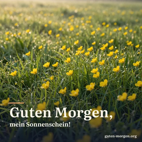 Wiese voller gelber Butterblumen im ersten Morgenlicht, Tautropfen glitzern; Schrift: „Guten Morgen, mein Sonnenschein!“
