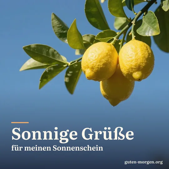 Leuchtend gelbe Zitronen an einem Zweig mit glänzenden Blättern vor tiefblauem Himmel in klarer Morgensonne; Schrift: „Sonnige Grüße für meinen Sonnenschein“
