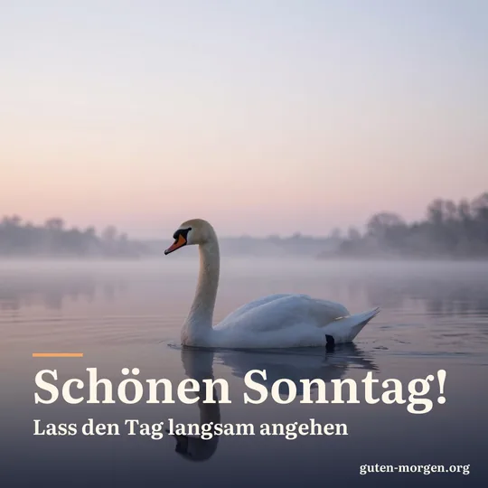 Schwan gleitet im Morgengrauen über einen spiegelglatten Teich, der Pastellhimmel spiegelt sich im Wasser; Schrift: „Schönen Sonntag! Lass den Tag langsam angehen“