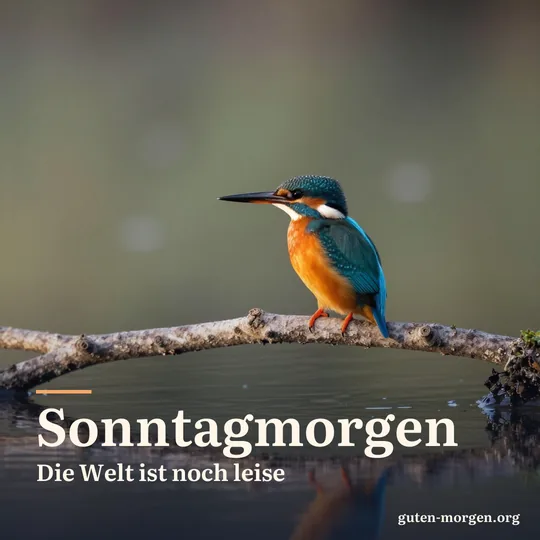 Eisvogel sitzt bei Sonnenaufgang auf einem Ast über einem stillen Bach; Schrift: „Sonntagmorgen. Die Welt ist noch leise“