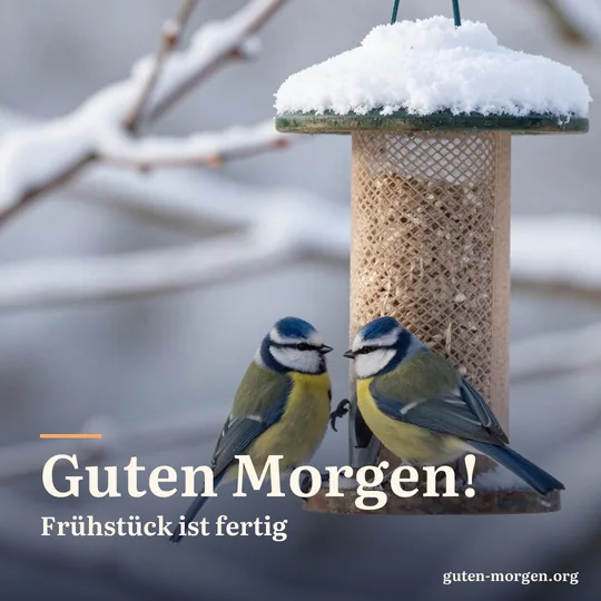 Zwei Blaumeisen an einem hölzernen Futterhaus in einem verschneiten Garten, Morgenlicht und bereifte Zweige; Schrift: „Guten Morgen! Frühstück ist fertig“