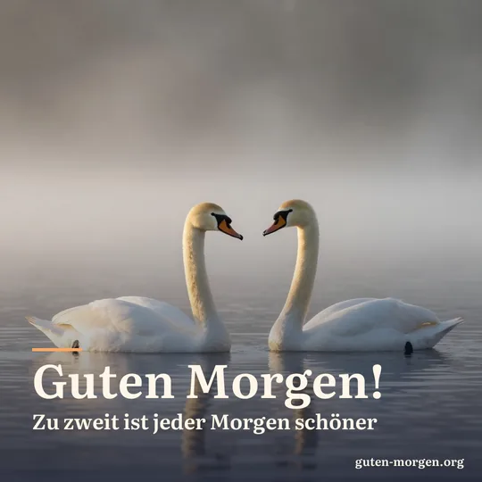 Zwei Höckerschwäne gleiten Seite an Seite über einen nebligen See bei Sonnenaufgang; Schrift: „Guten Morgen! Zu zweit ist jeder Morgen schöner“