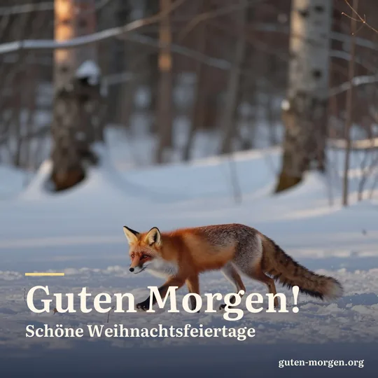 Rotfuchs läuft bei Sonnenaufgang durch tiefen Schnee auf einer stillen Waldlichtung, goldenes Licht auf dem Schnee; Schrift: „Guten Morgen! Schöne Weihnachtsfeiertage“